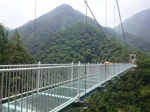 襄阳也有玻璃吊桥啦超刺激,你敢来吗
