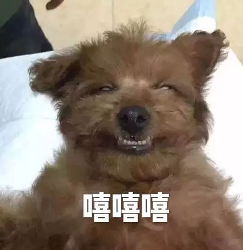 奶茶危机算计的婚姻,拼的都是段位