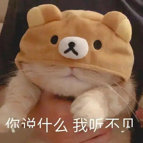 重磅这个专业又双叒面临重大改革