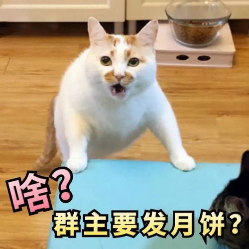 中秋专用表情包