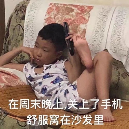 有哪些沙雕而又可爱的文案让你一眼就喜欢