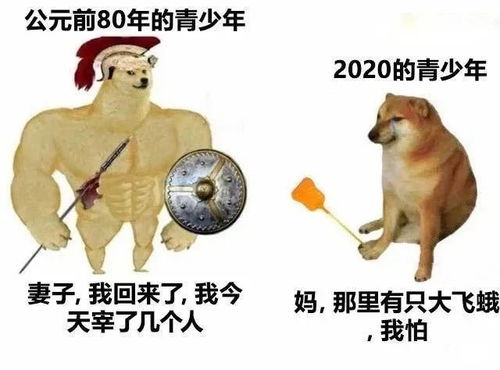 mysql左连查询弊端mysql整体结构即将迎来金九银十,你升职加薪的必备利器...