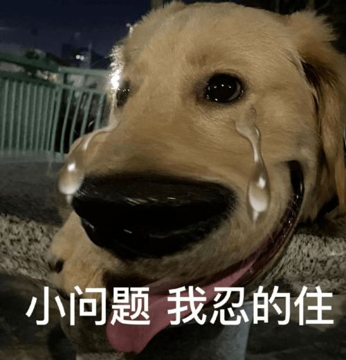 2021只剩10了...