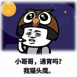 斗图日常小哥哥,网恋吗,我嘤嘤嘤