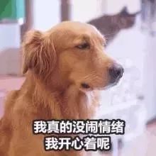26张店的气温要上天明天停暖,7天内千万注意这些事