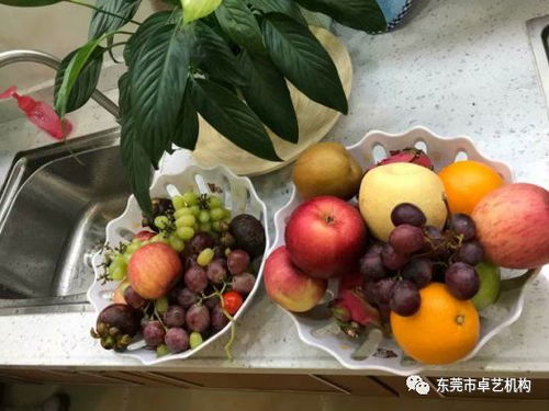 水果沙拉制作