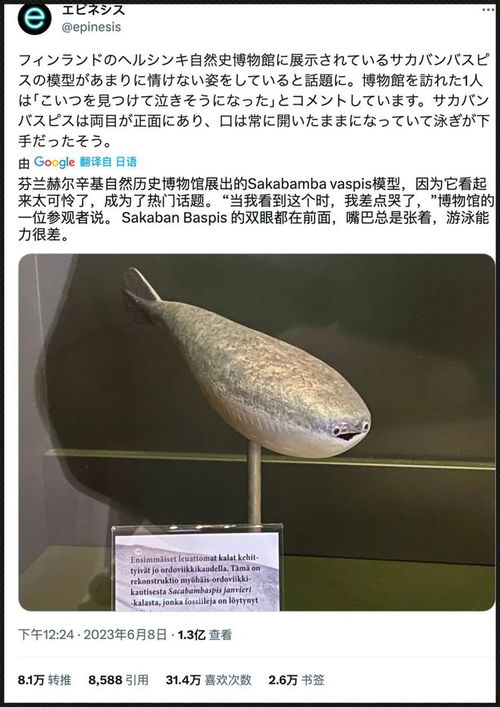 一种灭绝几亿年的胖头鱼,把自己活成了推特热门的表情包