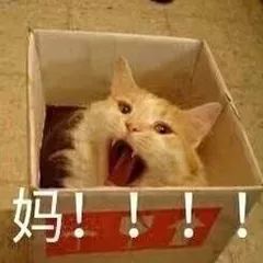 被老妈嫌弃的一生,你也是充话费送的吗过于真实哈哈哈哈哈哈