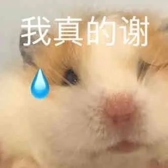 热门聊天表情包i我不是闲狗我需要工作