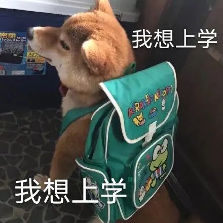 5月6日至5月9日的空中黔课空中游戏来了请大家查收