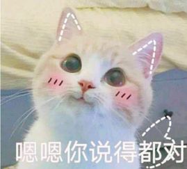 接住眼泪表情