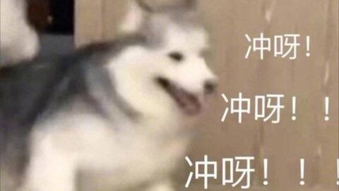 你的眼眸里,闪烁着光芒