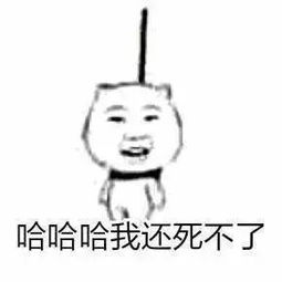 来撩啊斗图啊互相伤害