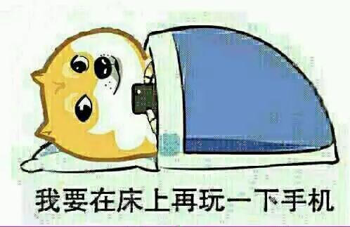 你一天到晚就知道玩手机