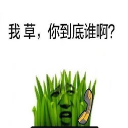 我草我日搞笑表情包组图红红火火恍恍惚惚