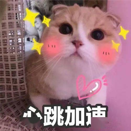 央视居然出了一个国民初恋这一次谁能不服气