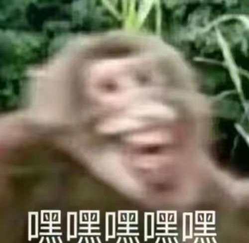 今日笑话一看老板的名字,就知道这臭豆腐很正宗腾讯新闻