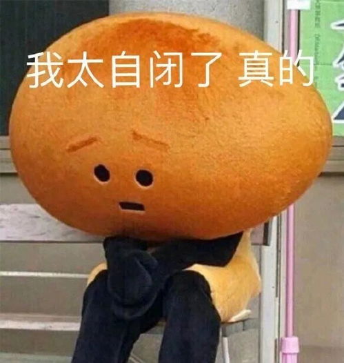 高考后拜别母校,回首往昔,你有什么想说的吗