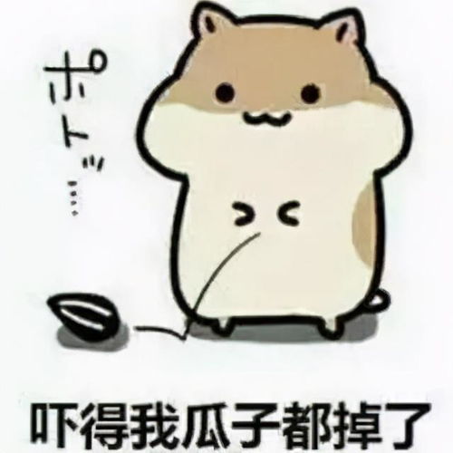 你知道,你发出的表情包在爸妈眼里意味着什么
