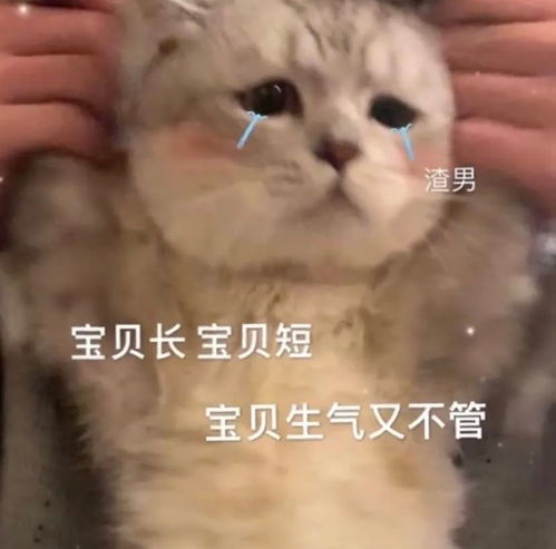表情包丨宝贝长宝贝短宝贝生气又不管
