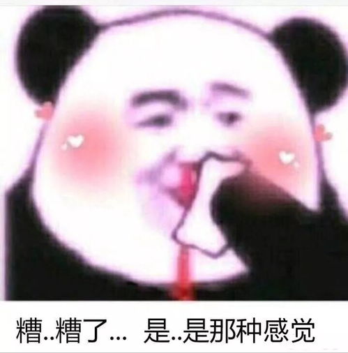 狗子掉毛千万不要扔,可以织毛衣啊同学们