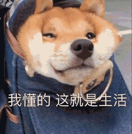 重要通知表情包哈哈哈