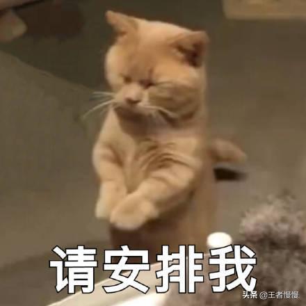 为什么万国觉醒大部分玩家都是邓紫棋模式