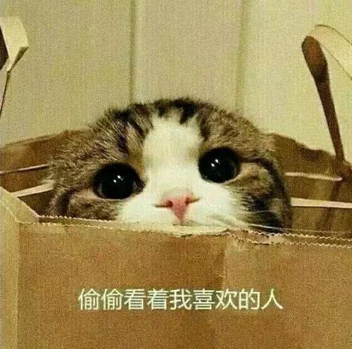 长长的刘海也挡不住她的美