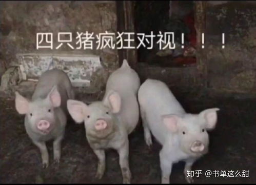 有哪些沙雕的句子