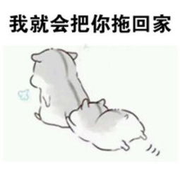 最新版可爱小仓鼠表情包女朋友版做我男朋友吧