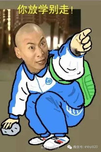 笑cry还珠格格又来一大波表情来袭,主人公竟是他