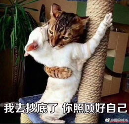 快讯股市实战gssz