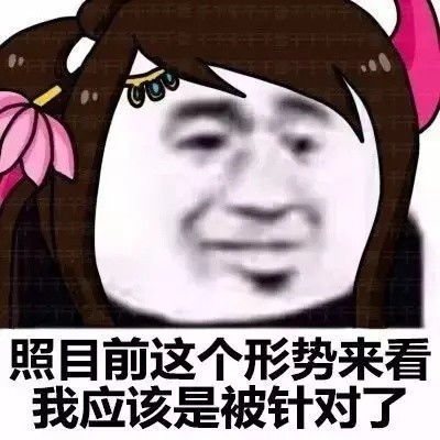 搞笑照目前这个形势来看,我应该表情包之王者荣耀版