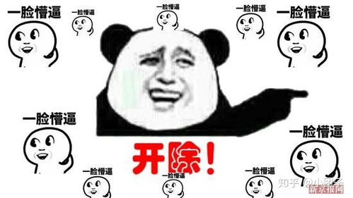你为什么不再染发了