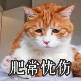 小秘密俄罗斯男生喜欢怎样的女孩儿