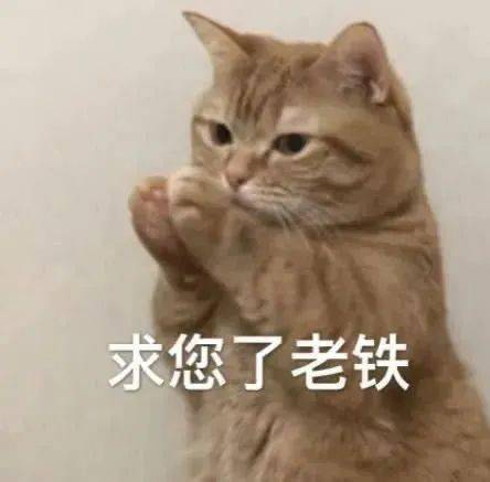 翻译人声音乐图鉴哈哈哈哈春晚没你们我不看