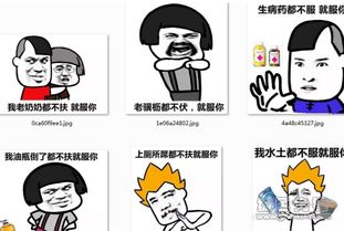 不服来打我呀表情包水土不服