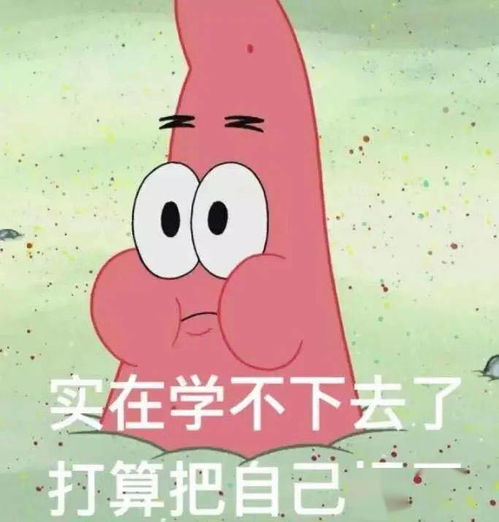 你是什么品种的猪