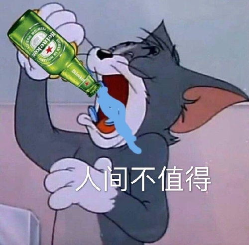 猫狗表情包图片你不是我对手