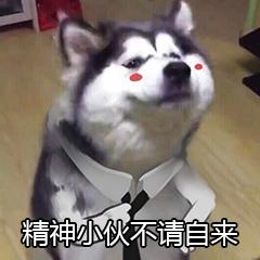 搞怪表情包图片图集单身汪