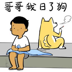这世上根本没有物美价廉只有越贵越好