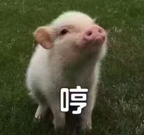 搞笑段子对不起先生,别人的剩菜是不可以打包给你的