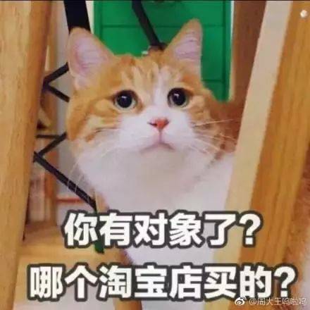 美好我一个万年单身狗,满世界天天给我推送婚纱是几个意思
