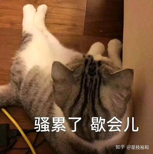 清空指令python应用linux常用指令