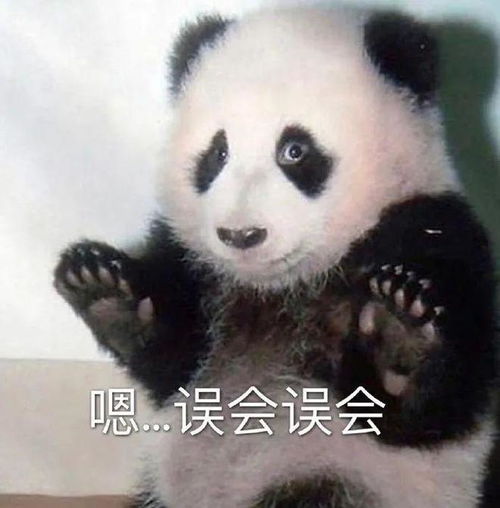 流口水的表情包熊猫坐地铁