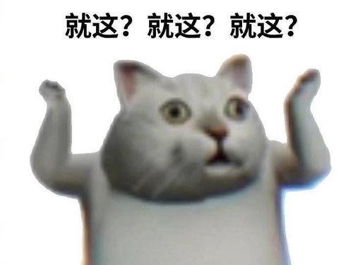 看过安家原版卖房子的女人介绍