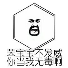 两个狗子自拍表情包自拍狗子两个表情