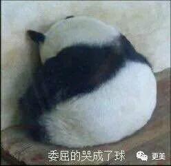脸上扎900多针,一瓶面霜200多万,浪姐里谁的脸最烧钱