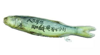 表情与斗图咸鱼的梦想到底是什么