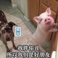 幽默笑话闺蜜和我眼光大致相同,有次和她一起去逛街买衣服